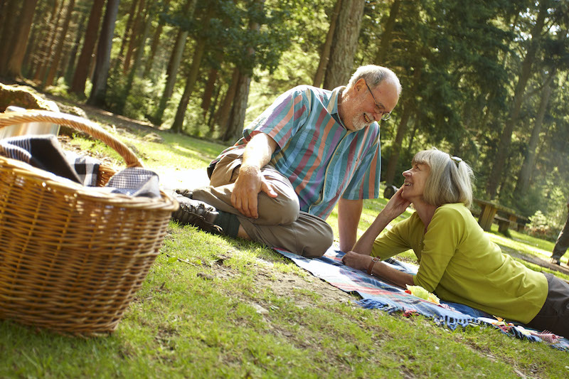 Picnic at Haldon Forest